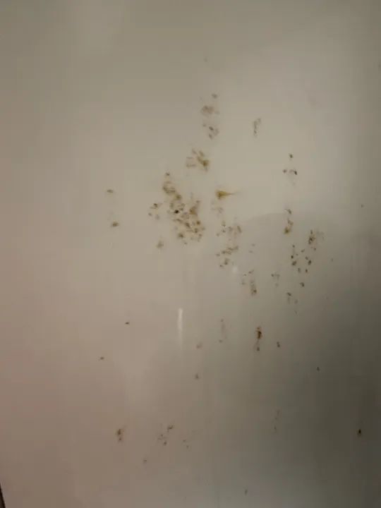 Geladeira VENDO - Foto 3