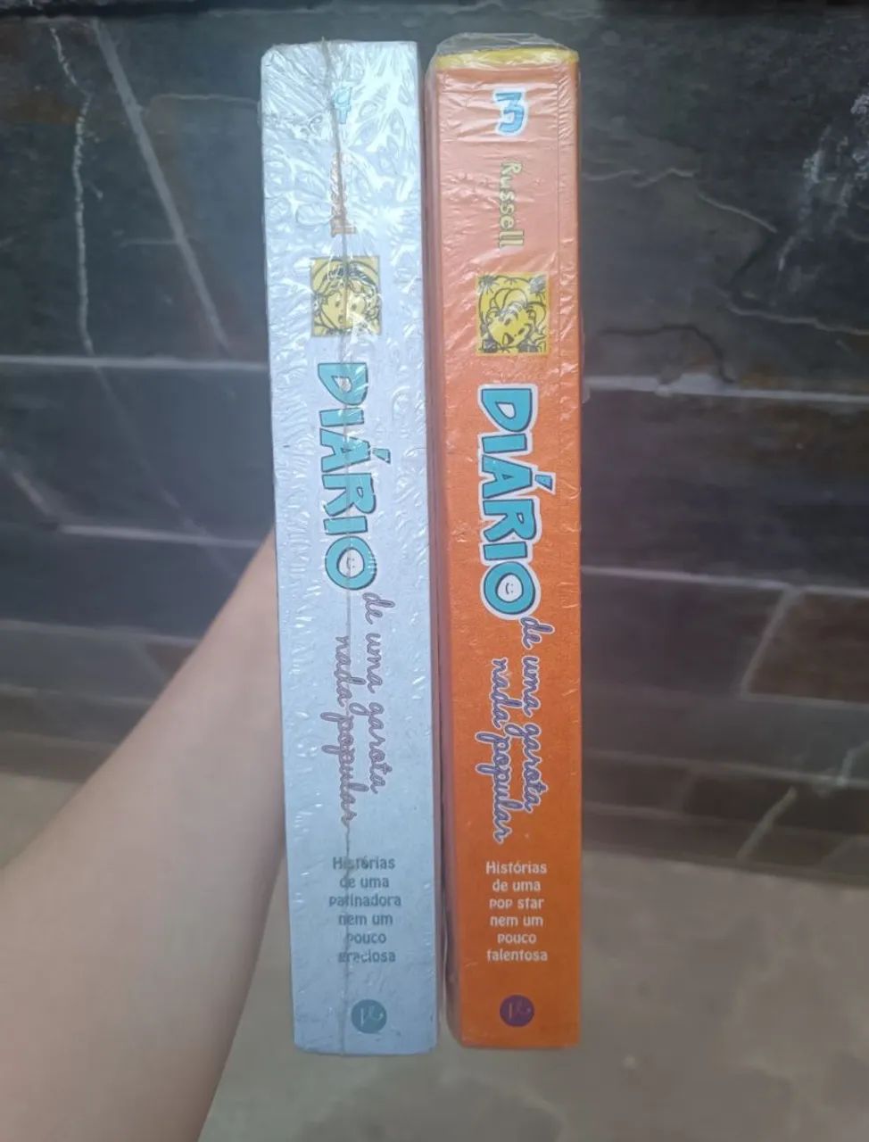 Diário de uma garota nada popular - Livros