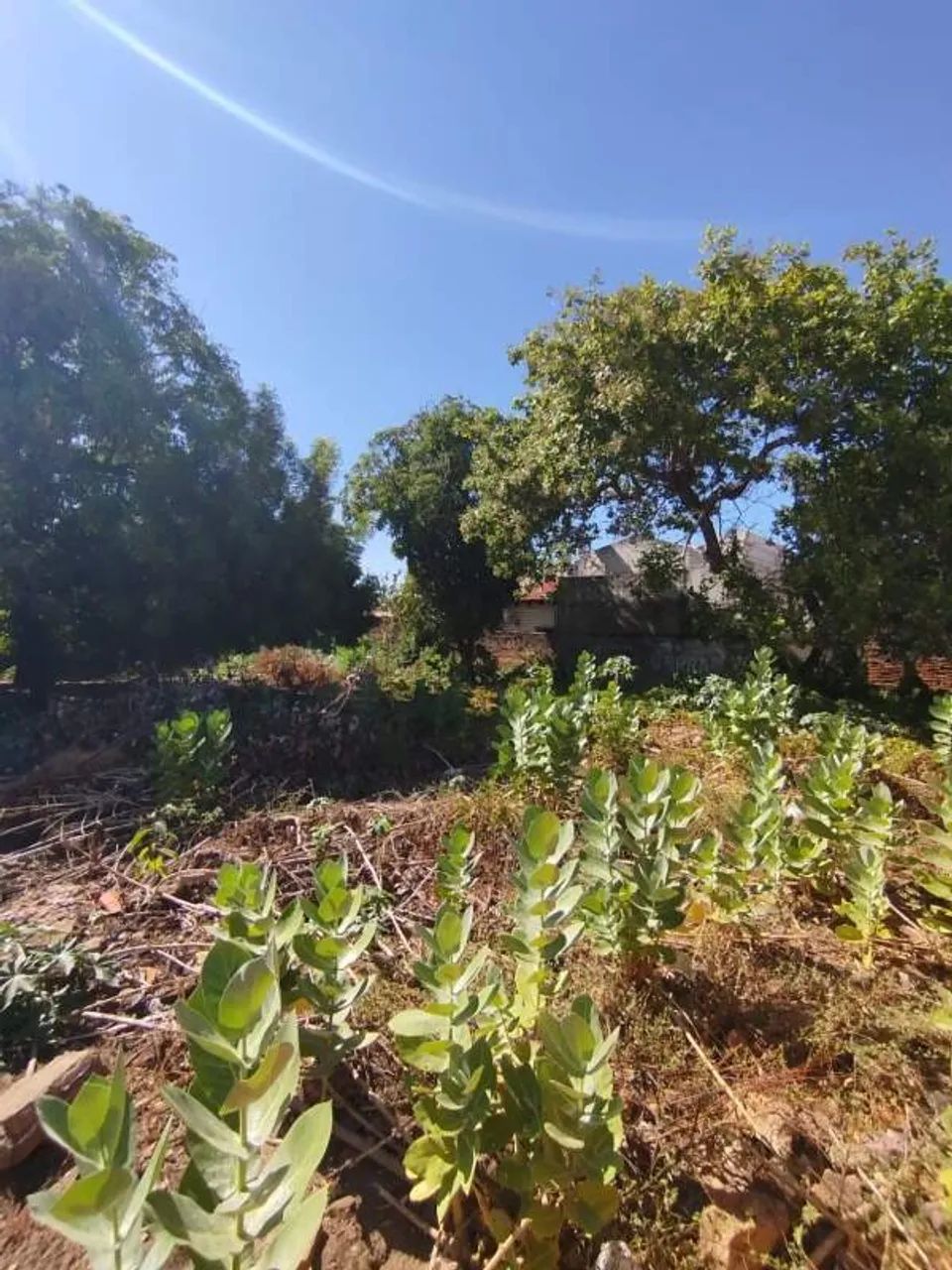 Terreno à Venda no Centro de Timon - Foto 5