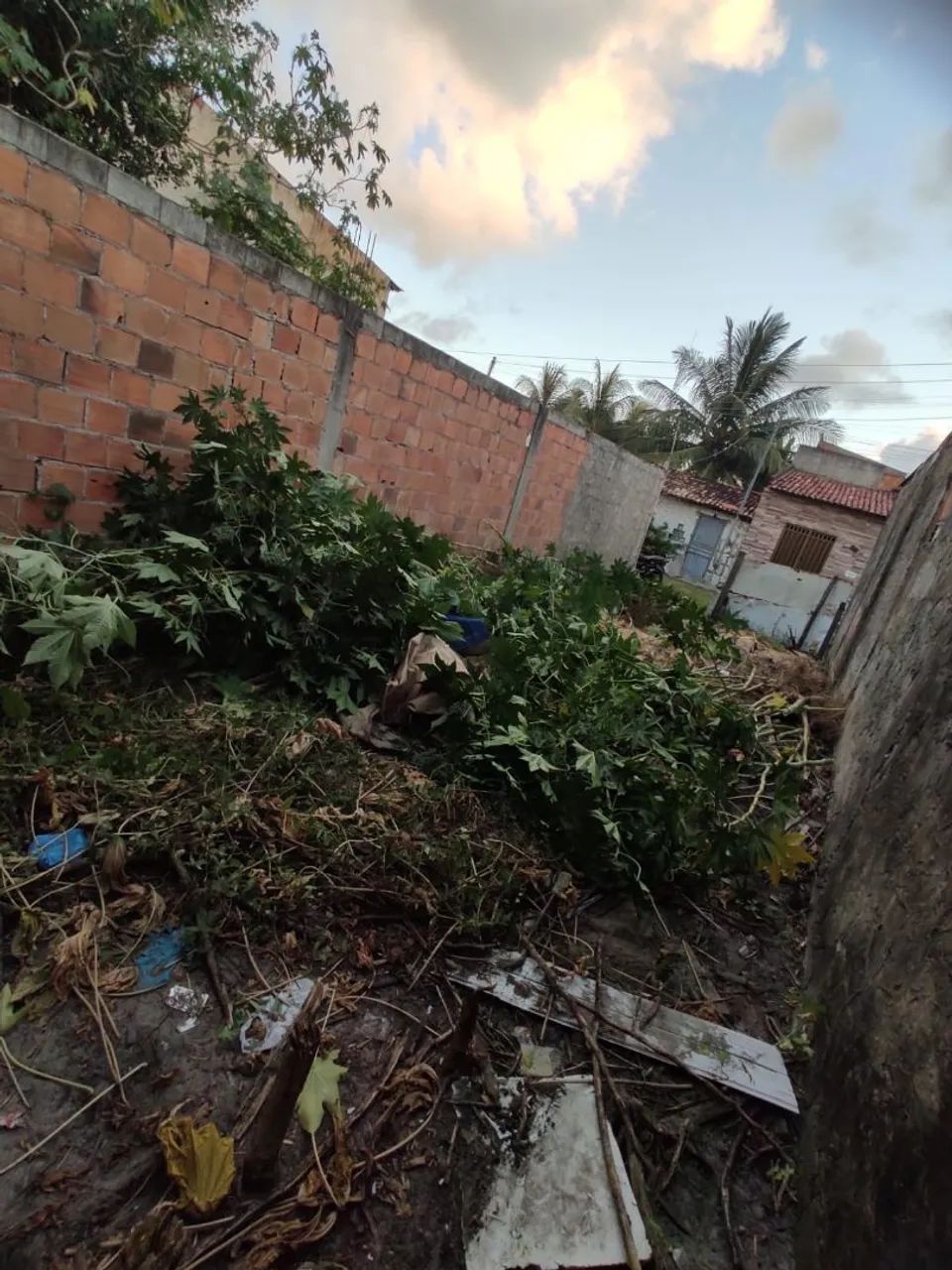 Foto - Aracaju - Lamarão