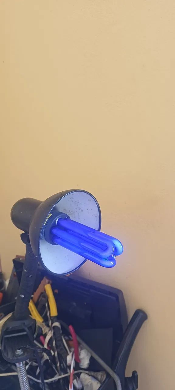 luz  negra 80 as duas - Foto 2