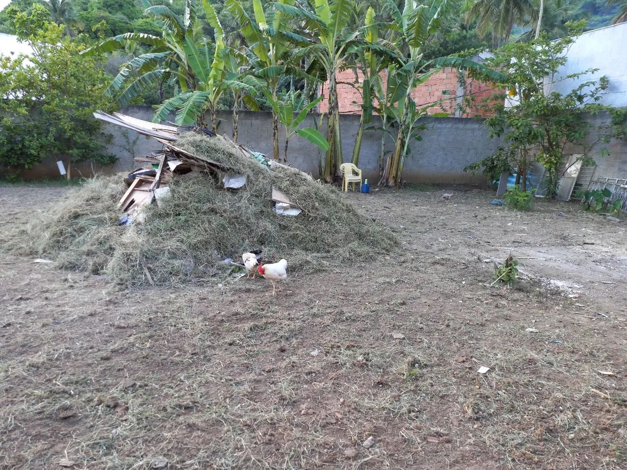 Terreno em paciência  - Foto 3