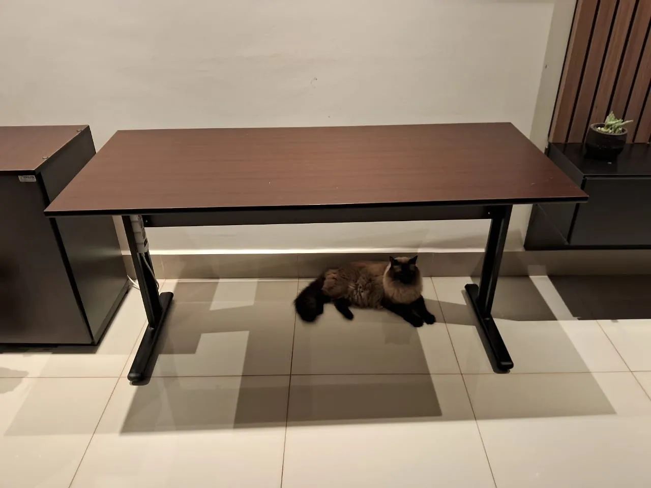 Vendo Mesa de computador e armario