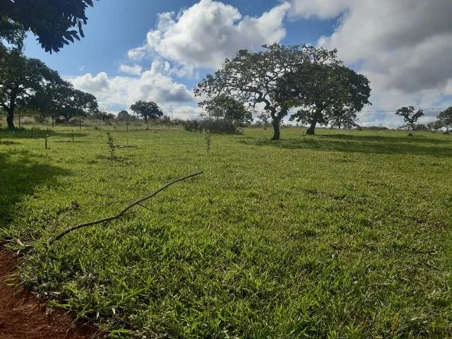 Lote na Cidade Ocidental  - Foto 4