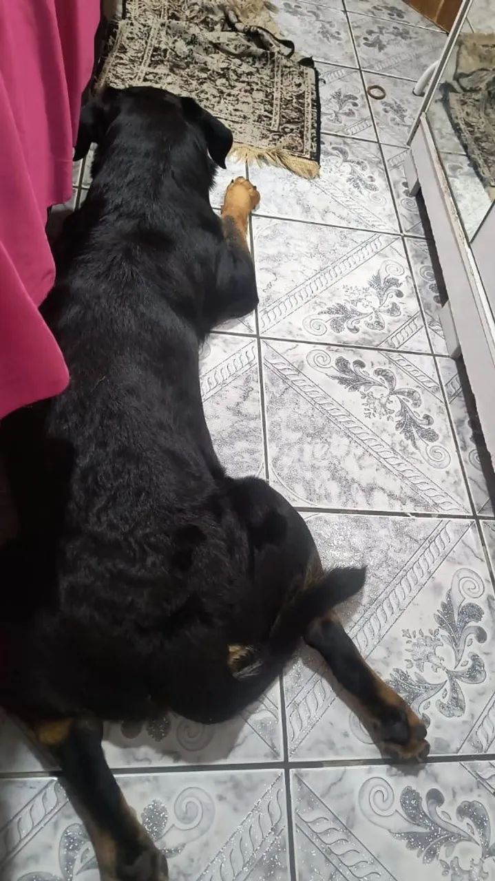 A procura de uma namorada  - Foto 4