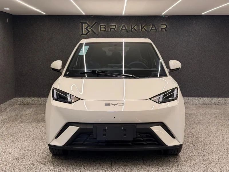 BYD Dolphin Mini (Elétrico) 2027 - Foto 2