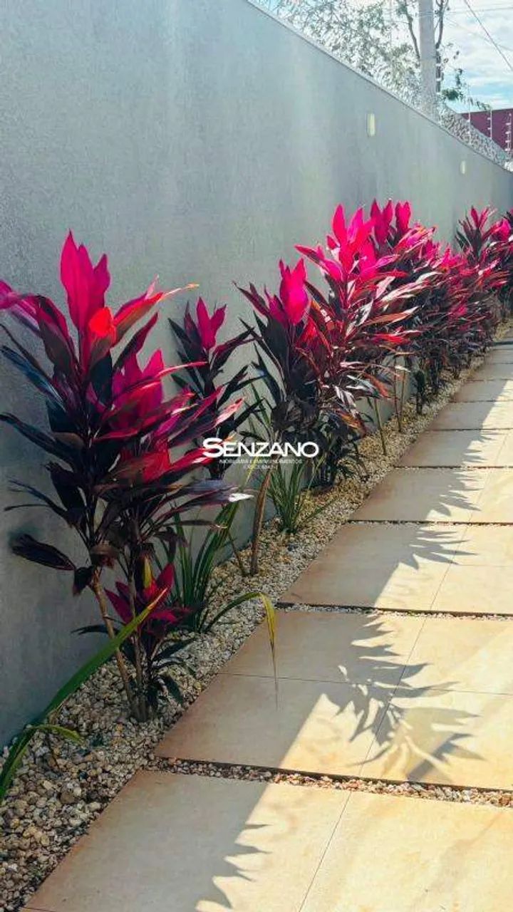 Casa Térrea em Vila Vilas Boas - Campo Grande - Foto 5