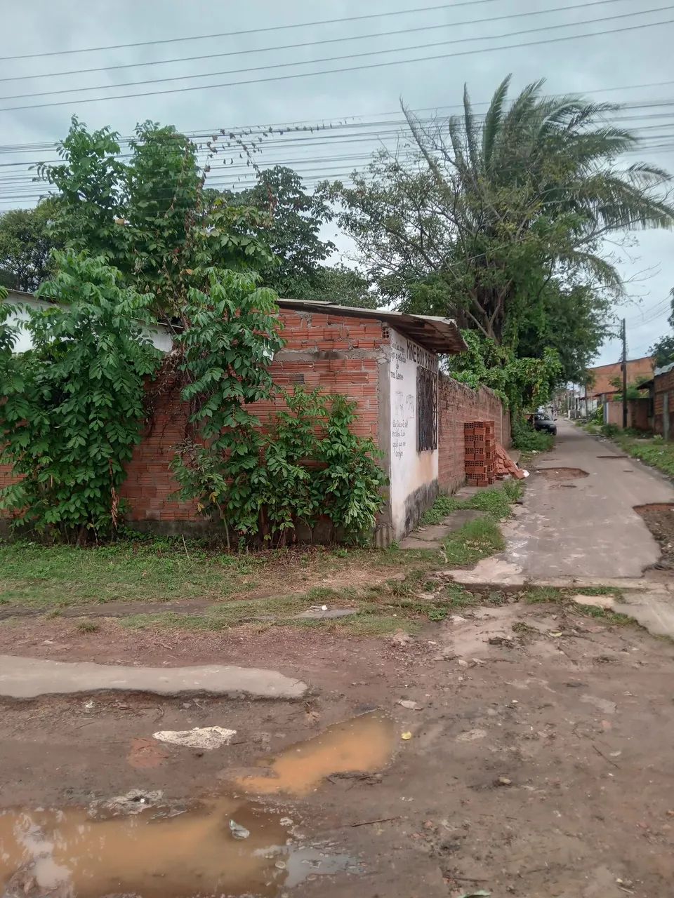 Terreno no parque araçagy  - Foto 4