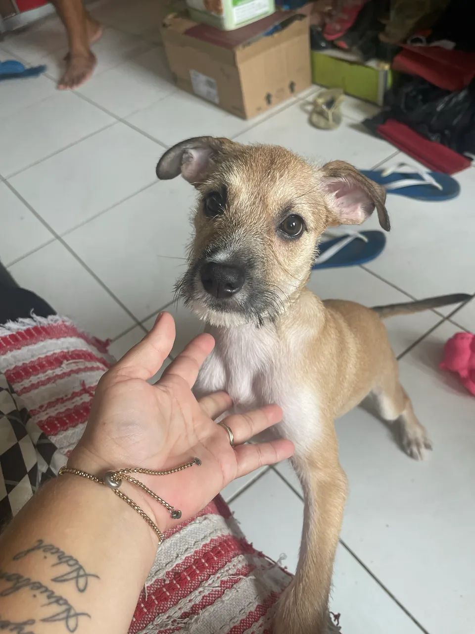 Doação  - Foto 4