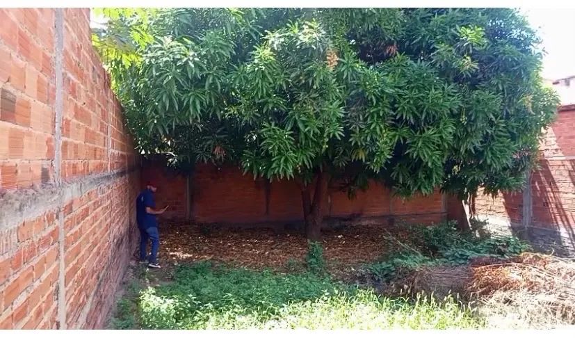 Vendo terreno zona leste  - Foto 2