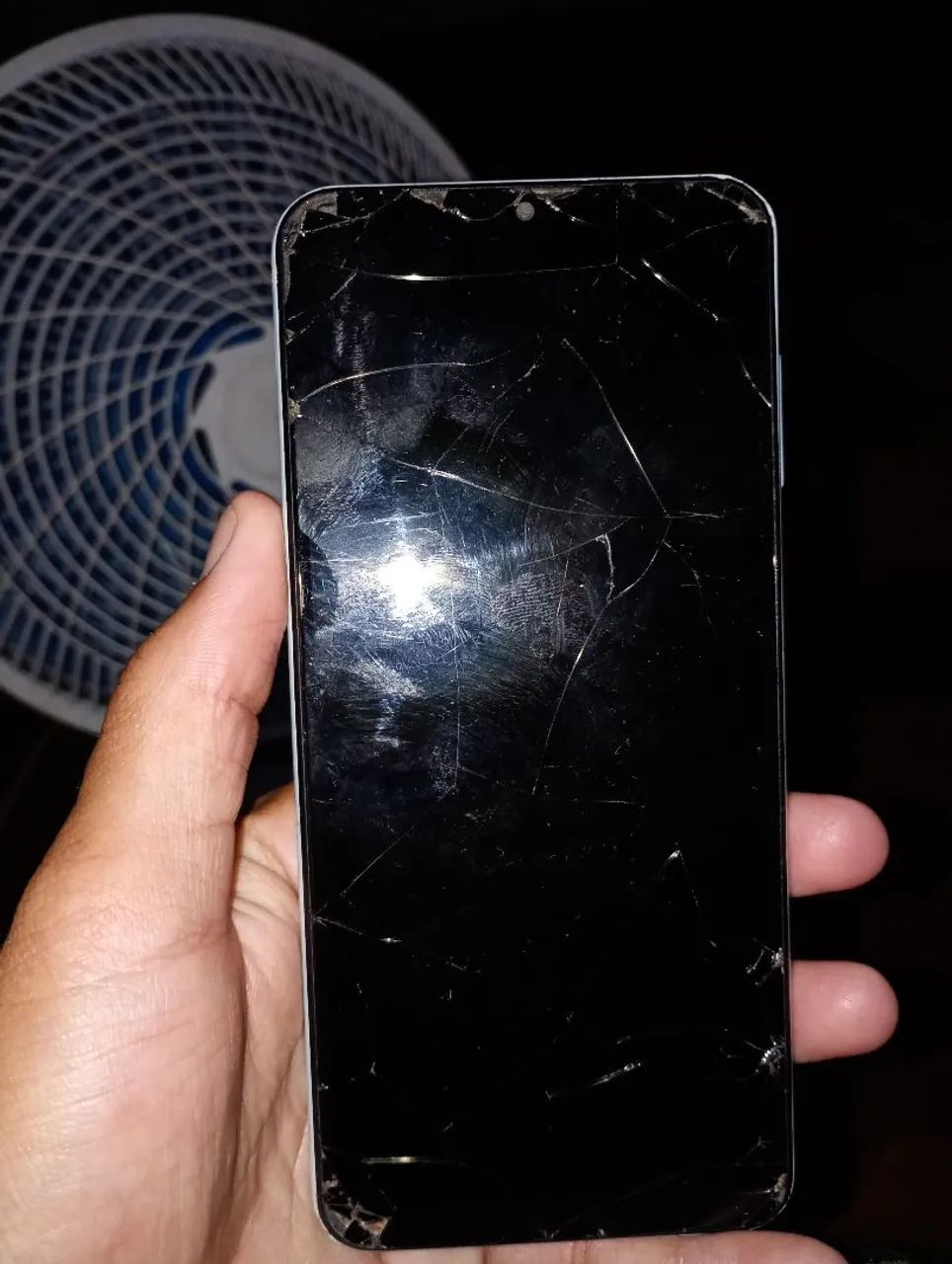 Samsung F13 
