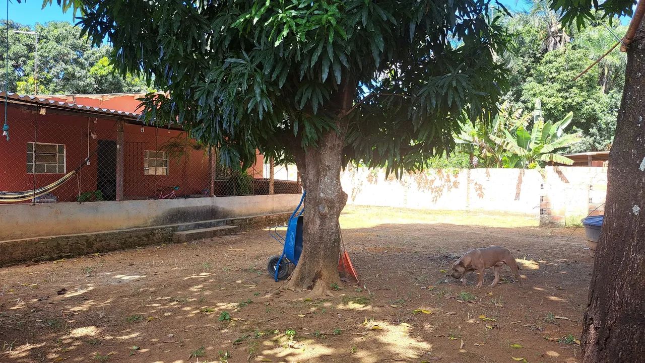 Vendo ou troco  - Foto 2