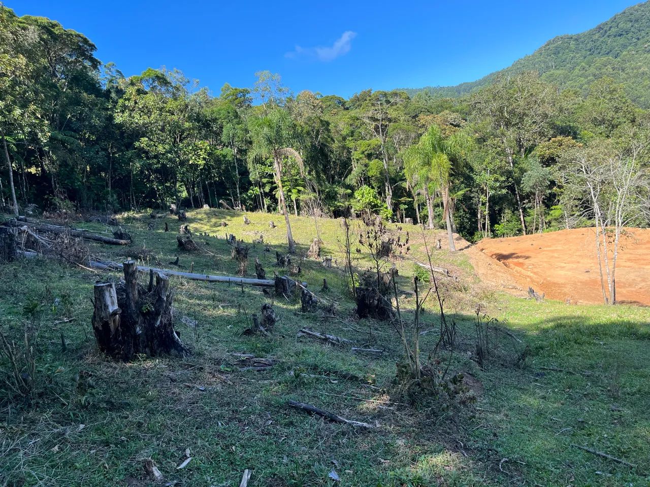 Sítio  São Bonifácio  - Foto 5