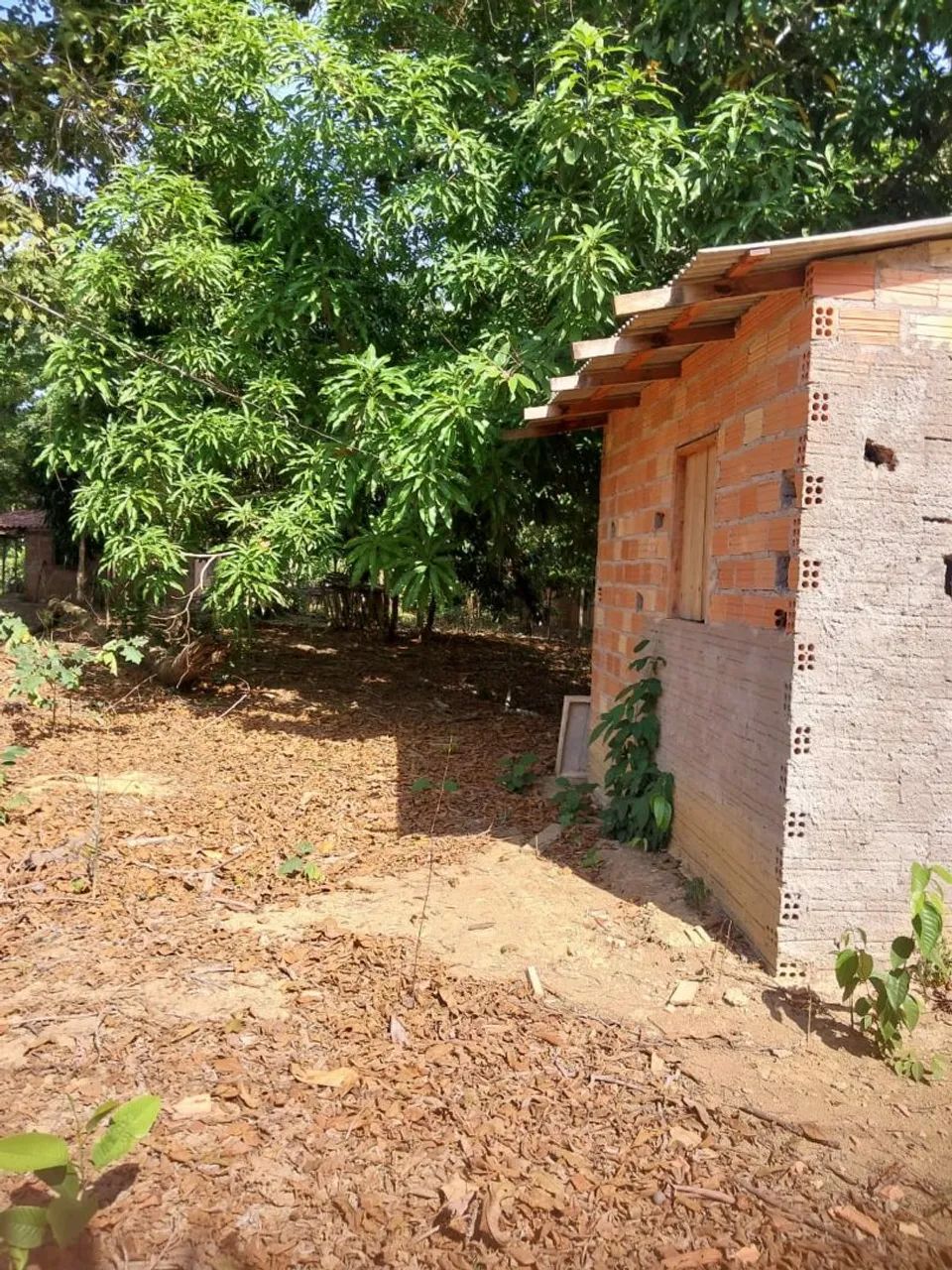 Terreno a venda em Belterra - Foto 2