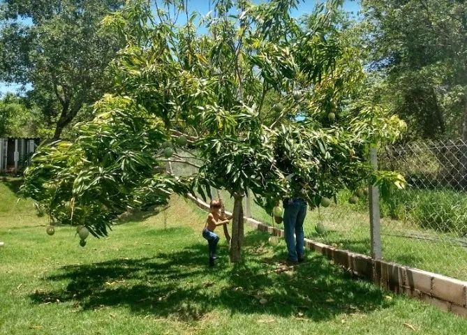 Rancho à venda, 5000m², escriturado - sentido Tapuirama - Foto 2