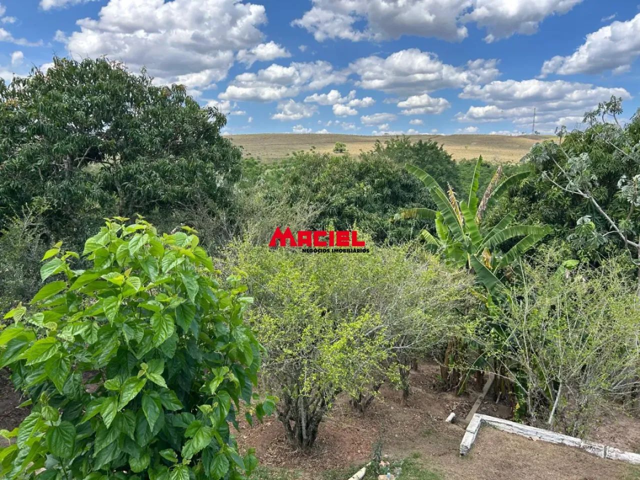 LINDA CHÁCARA COM CASAS NO BOM RETIRO!!! - Foto 4