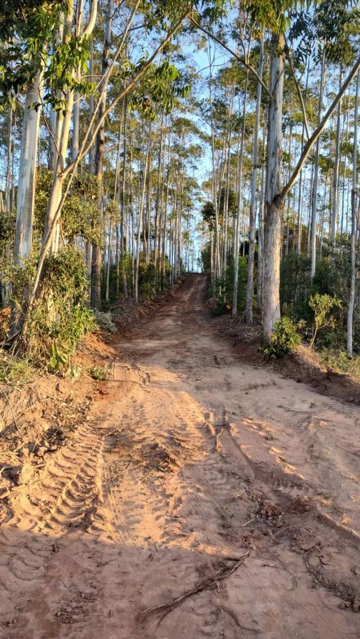 Chácara Domingos Martins ES  - Foto 2
