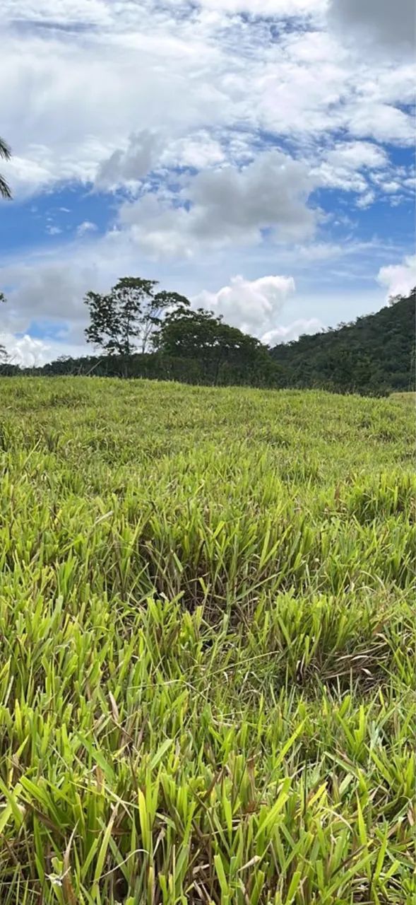 Fazenda próximo a pato de minas  - Foto 2