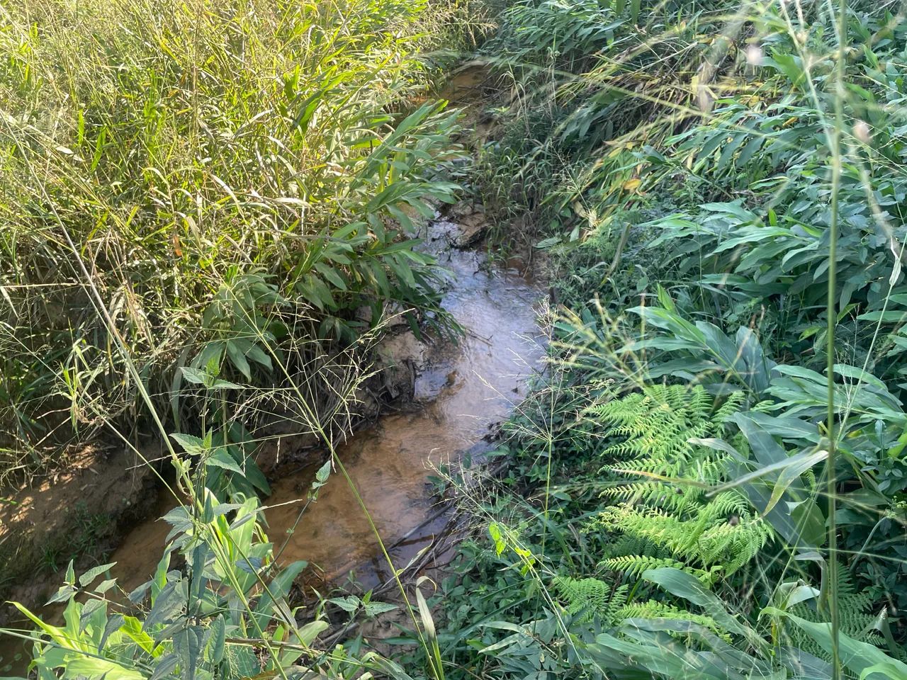 TERRENO À VENDA! 4000m2 Com Riozinho  - Foto 4