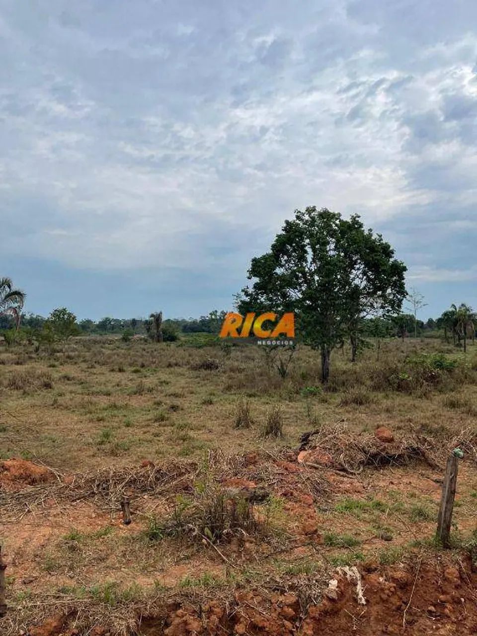 Vende-se Excelente Sítio em Urupá-RO! - Foto 5