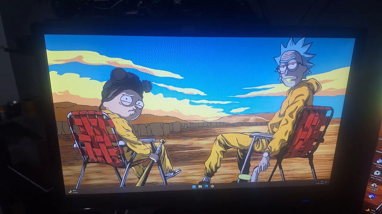 Monitor TV, 24 polegadas, com braço articulado