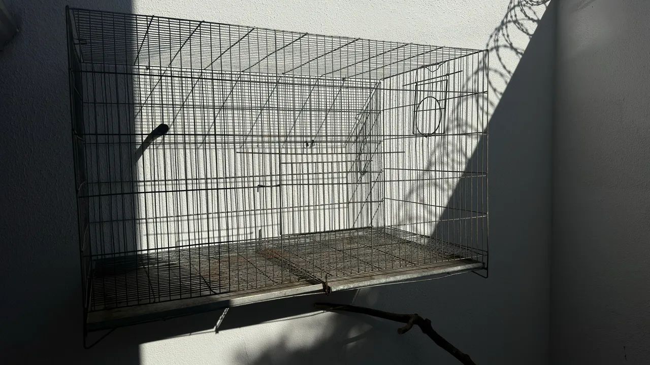 Gaiola e voador grande - Foto 2