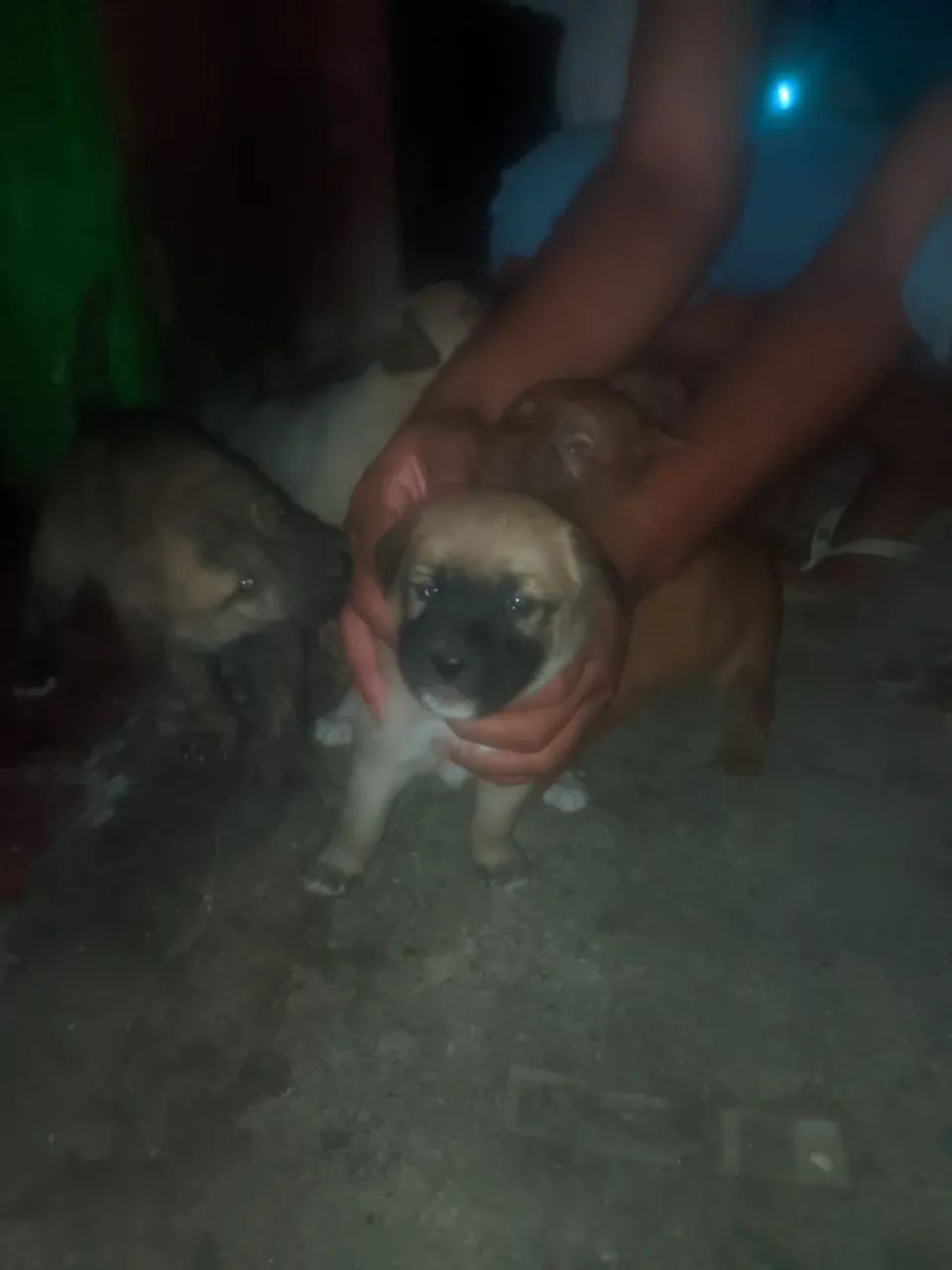 Doação  - Foto 5