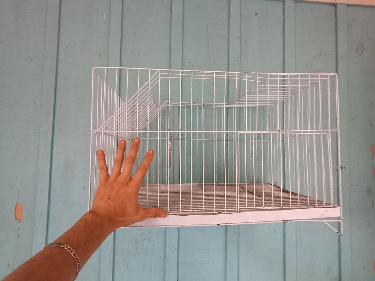 Gaiolas - Foto 2