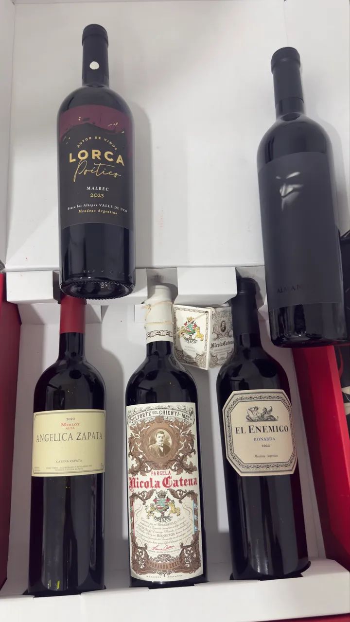 Vinhos argentinos variados