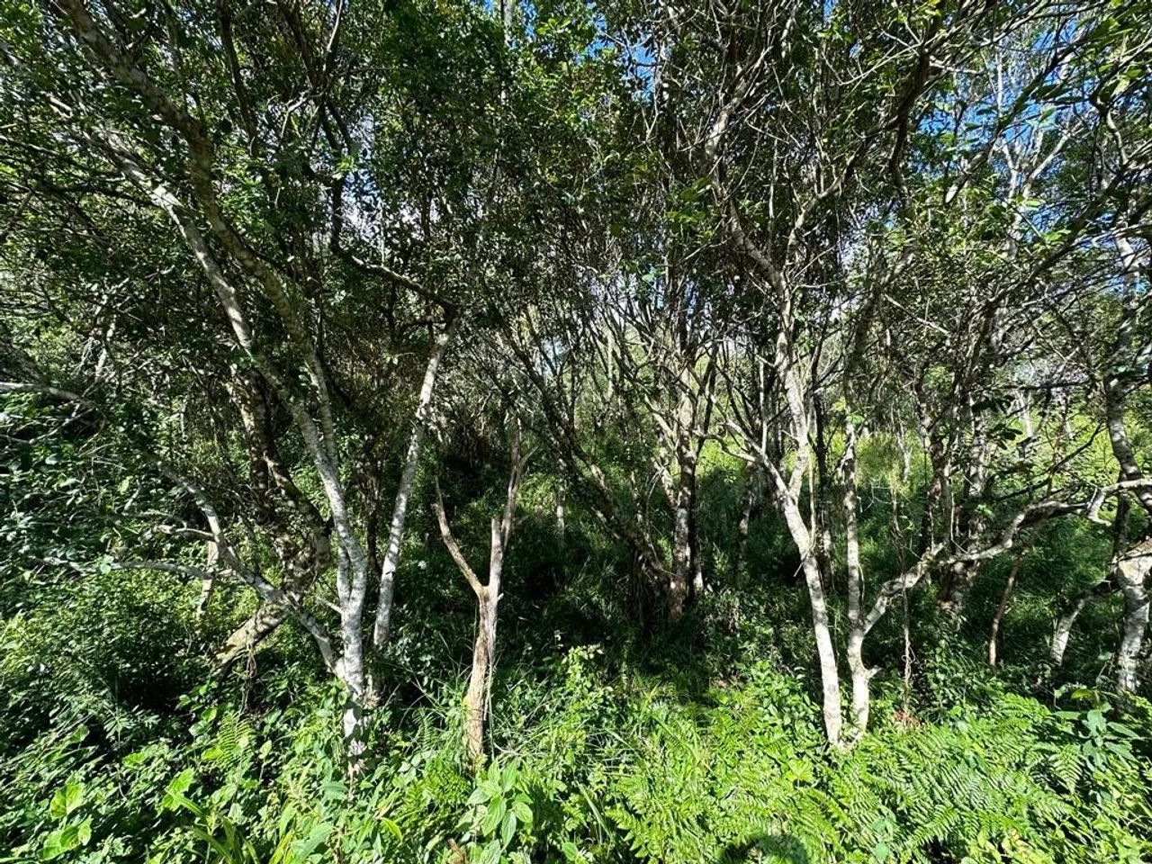 Terreno de 1.494m² no João Paulo