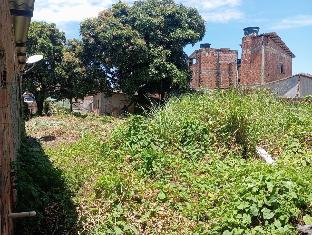 Terreno em campo grande  - Foto 2