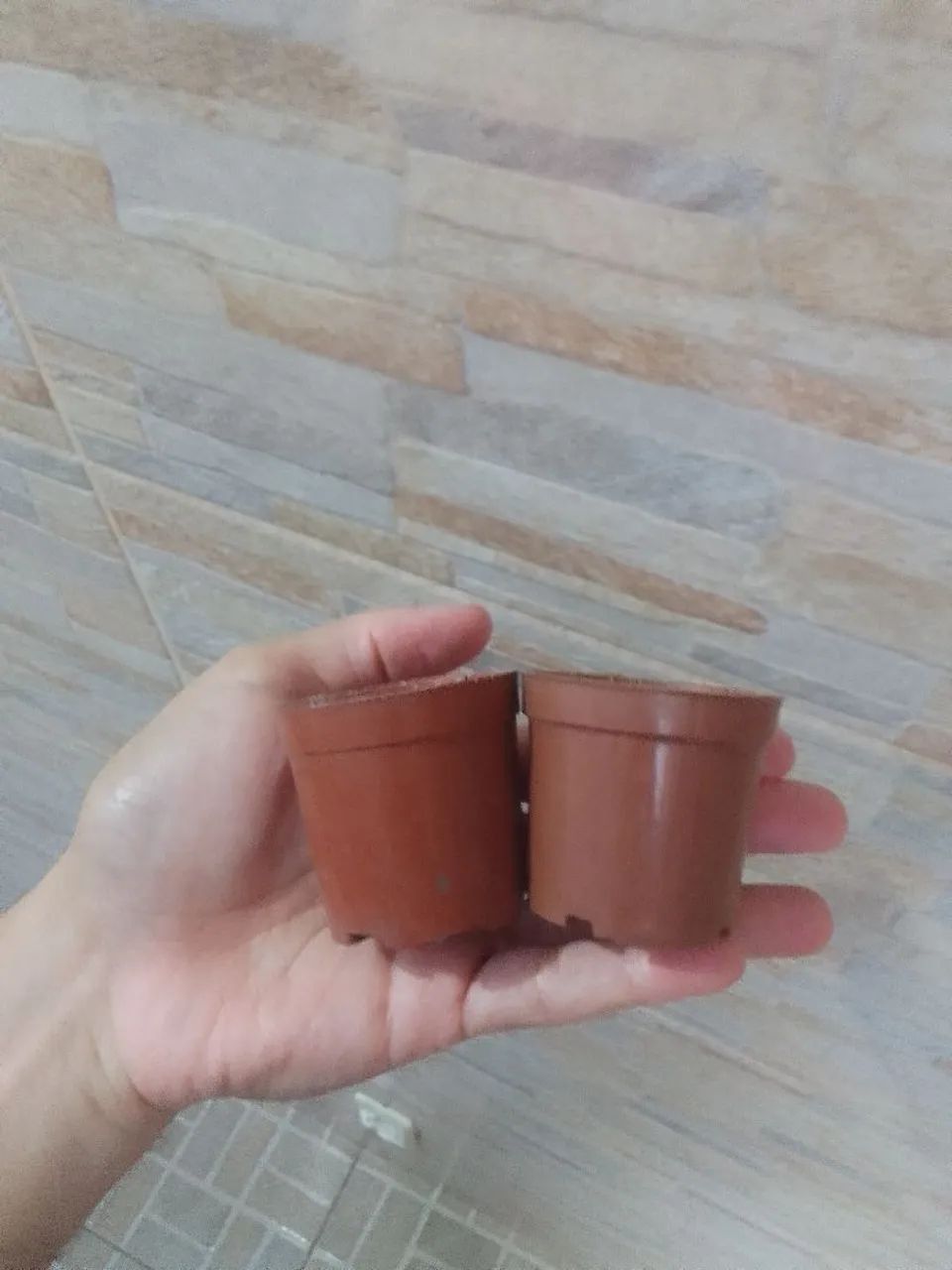Mini Vasinhos.  - Foto 3