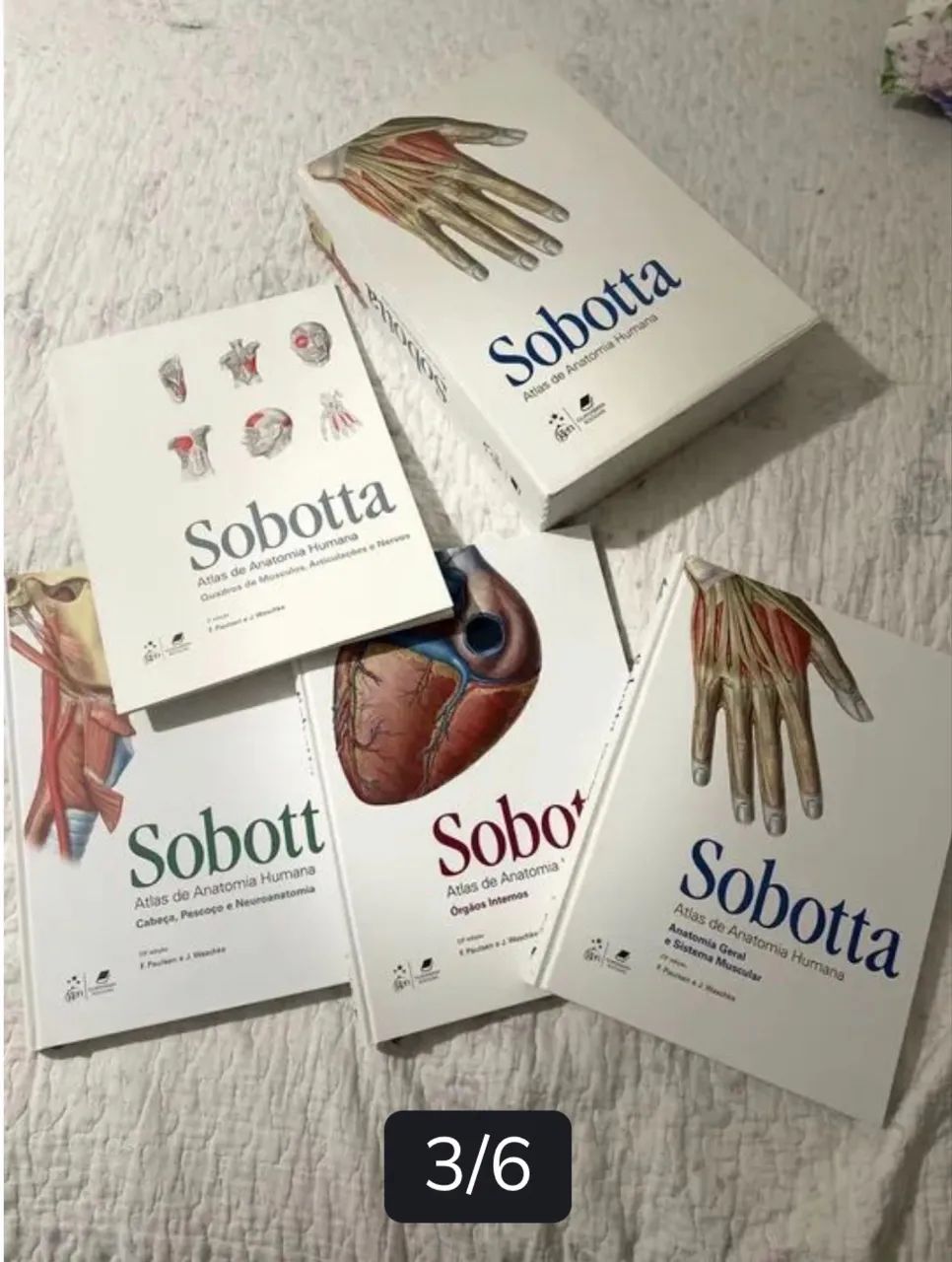 Livro sabotta de anatomia - Foto 5