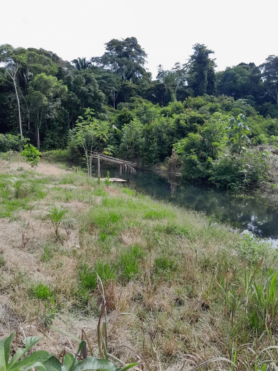 Vende-se chácara 100X250 - Foto 5
