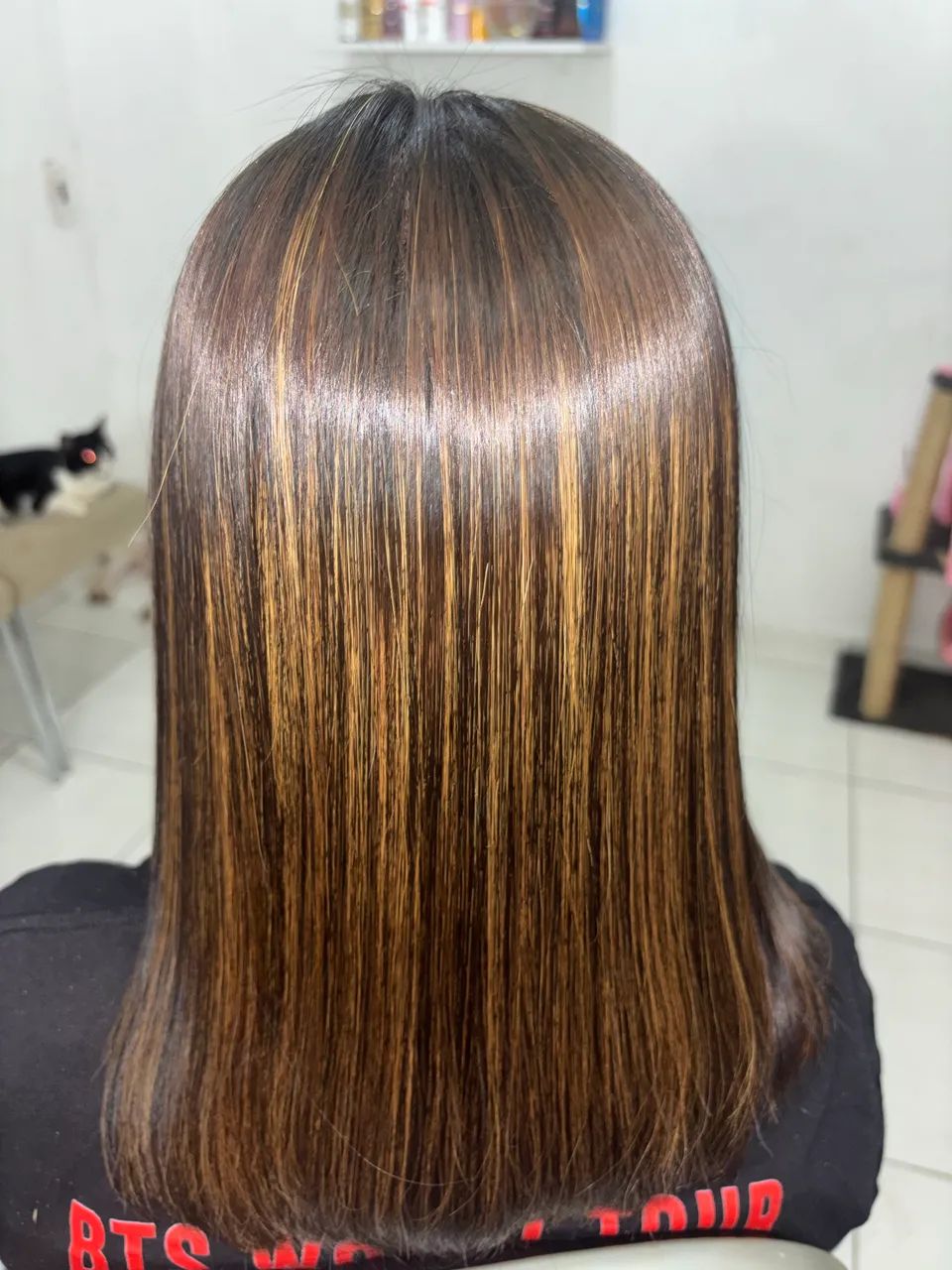 Selagem  - Foto 3