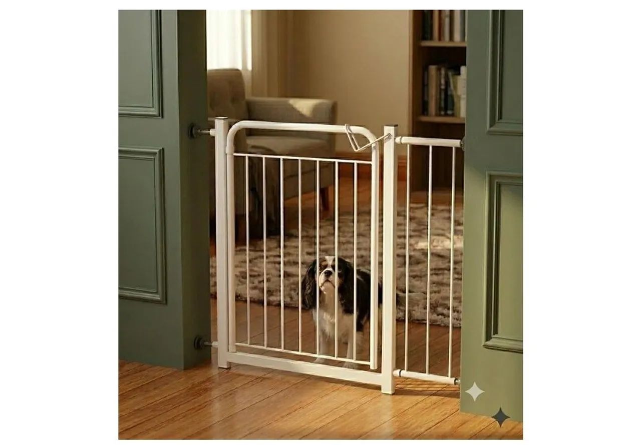 Artigos para PET - Foto 2