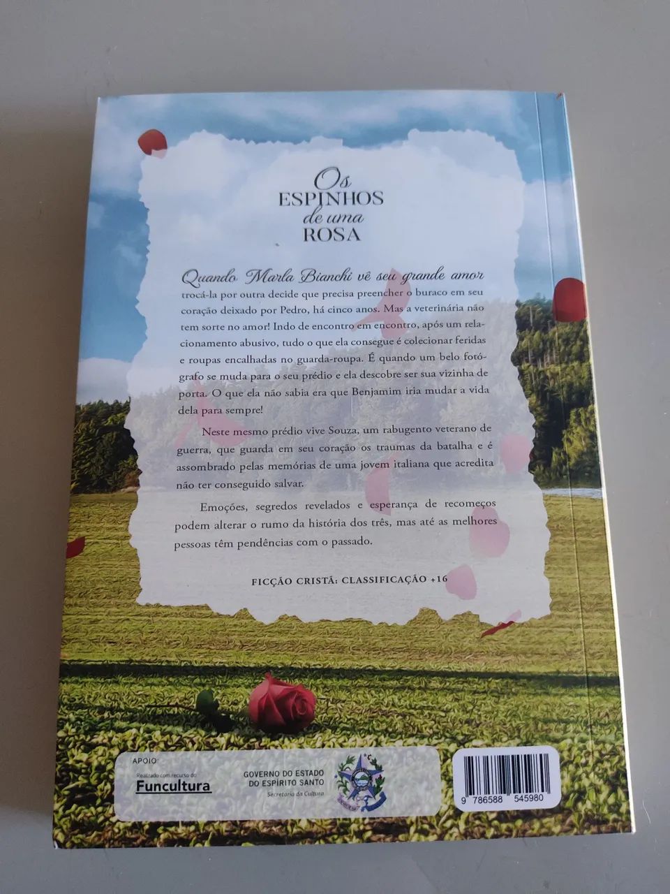 Os espinhos de uma rosa - Foto 4