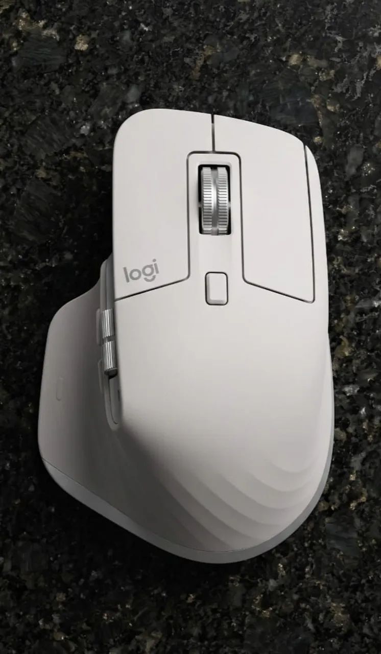 Mouse