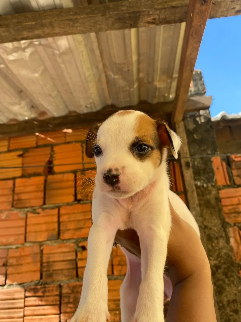 Doação  - Foto 2
