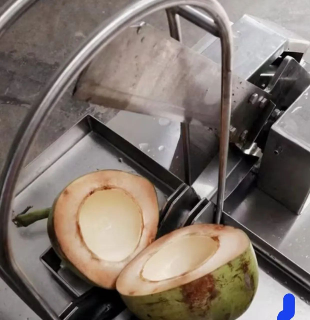 Máquina hidráulica automática para corte coco verde e seco