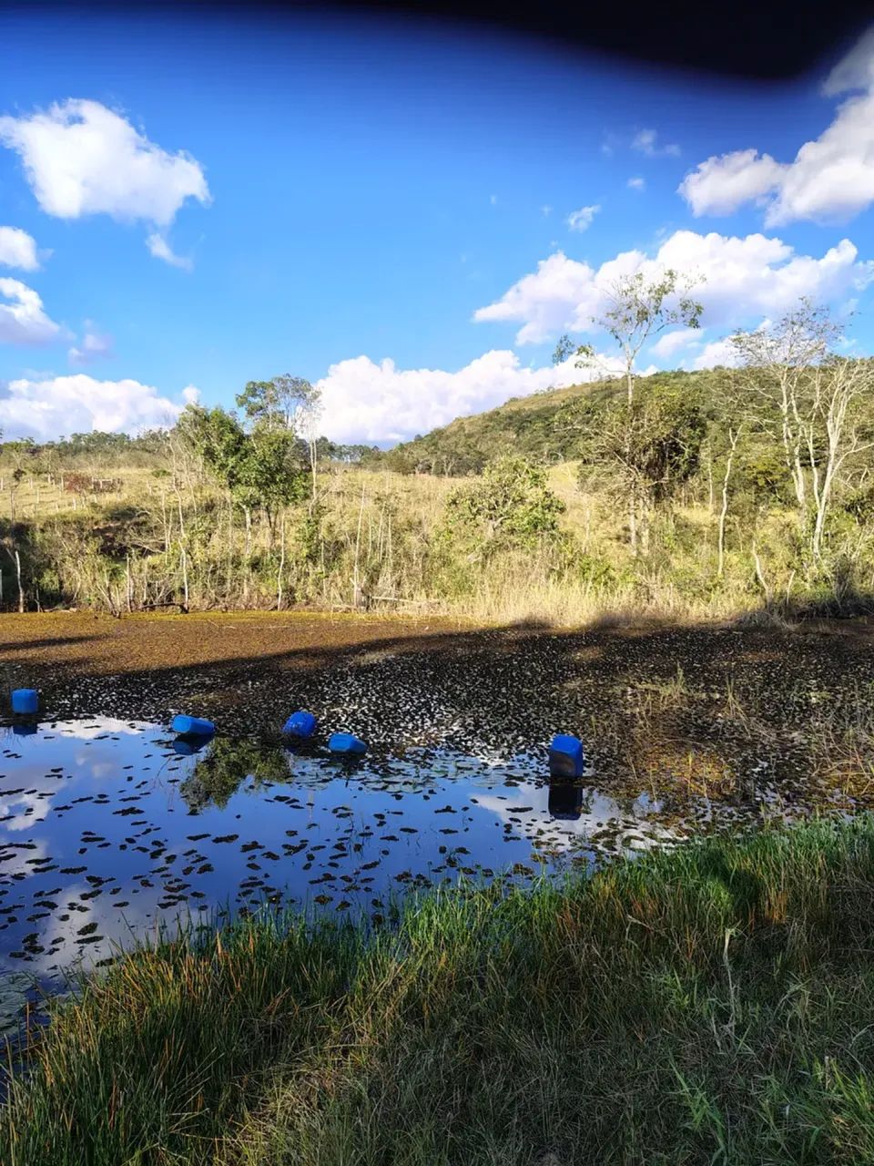 Sítio para gado ,lazer ,represa grande