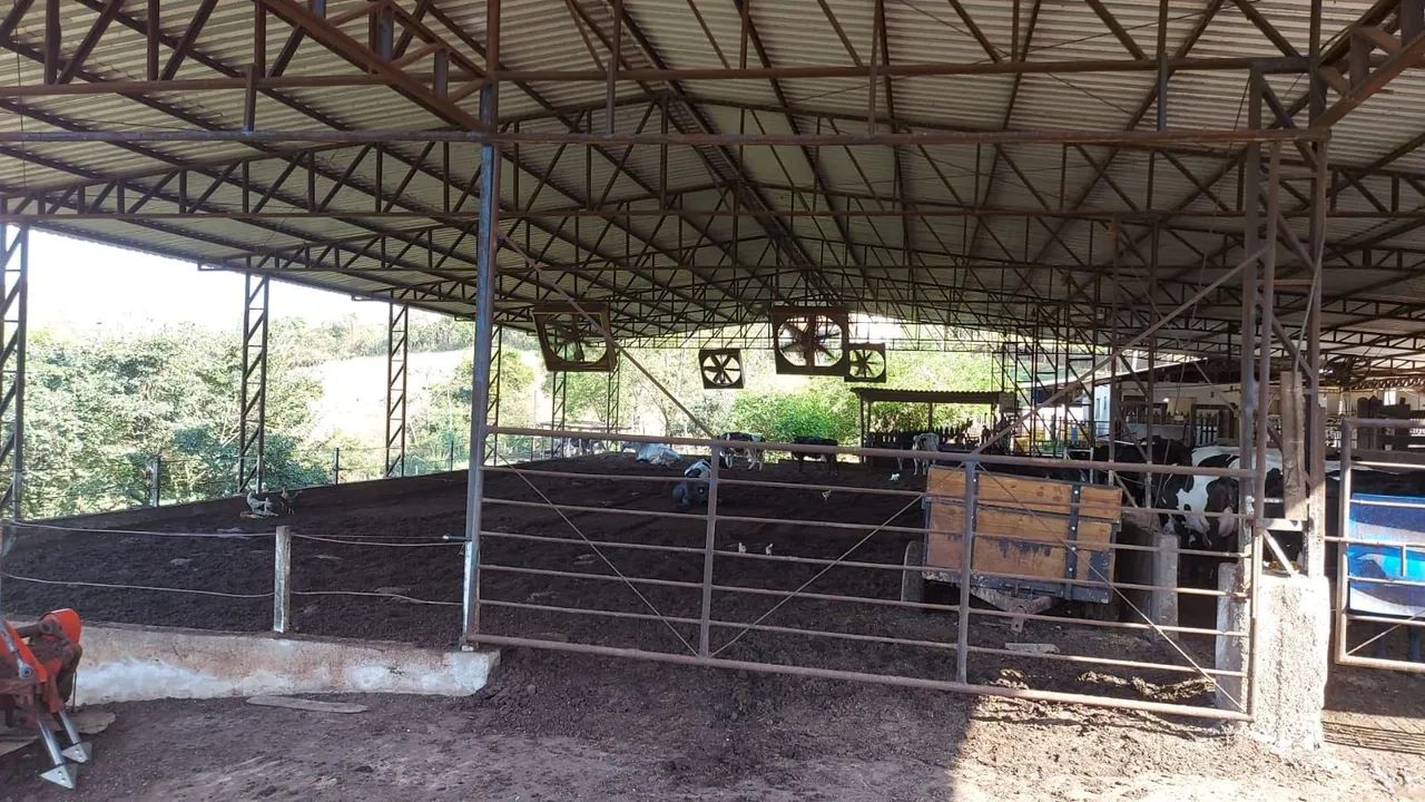 Fazenda Grotão a venda - Foto 3