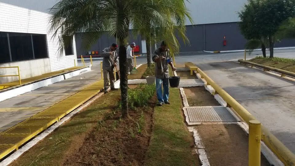 Jardinagem paisagismo e gramados - Foto 2