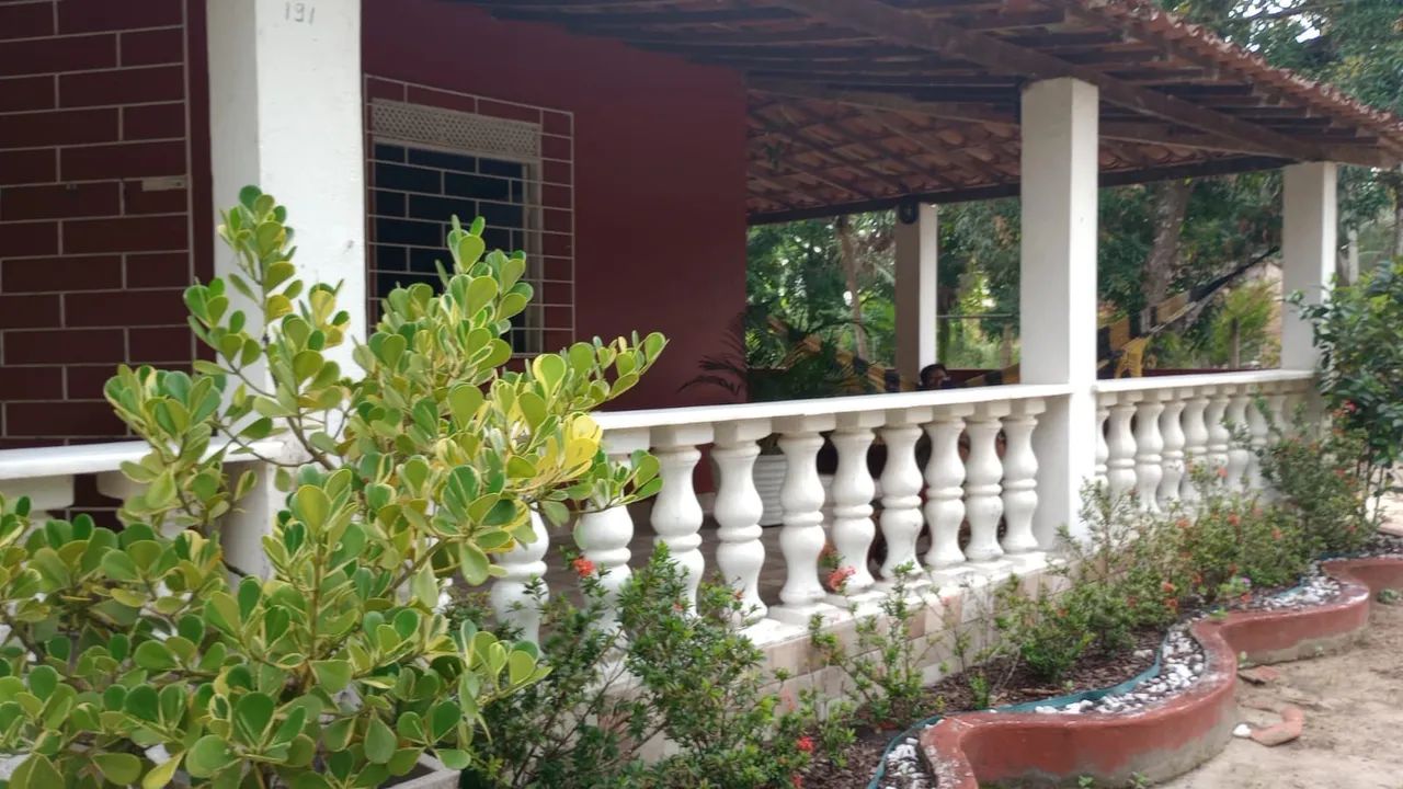 Vendo sítio / Alugo também  - Foto 4