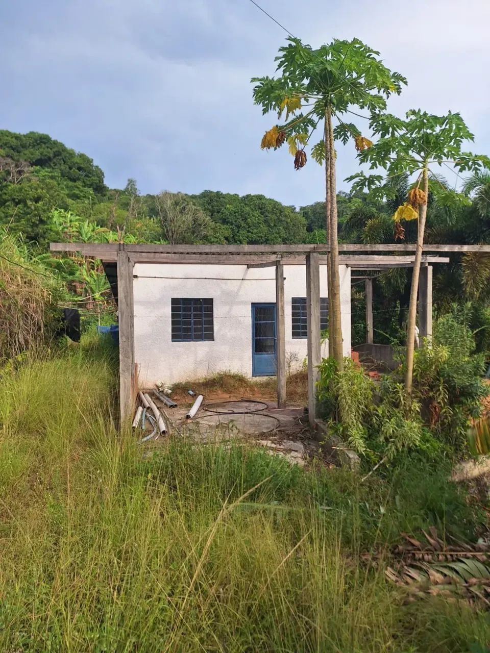 sitio com 60.000m² - Foto 3