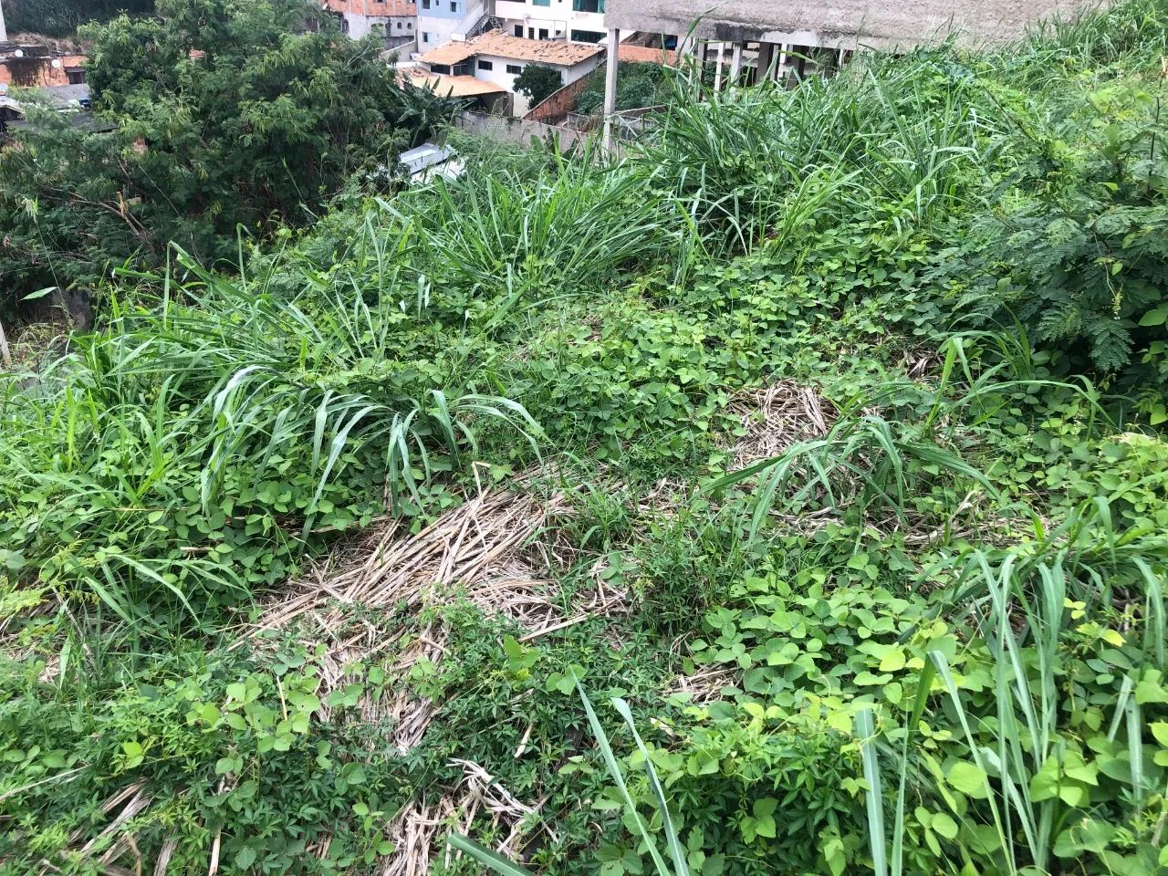 Lote a venda no Bairro Nova Esperança com 420m² - Foto 5