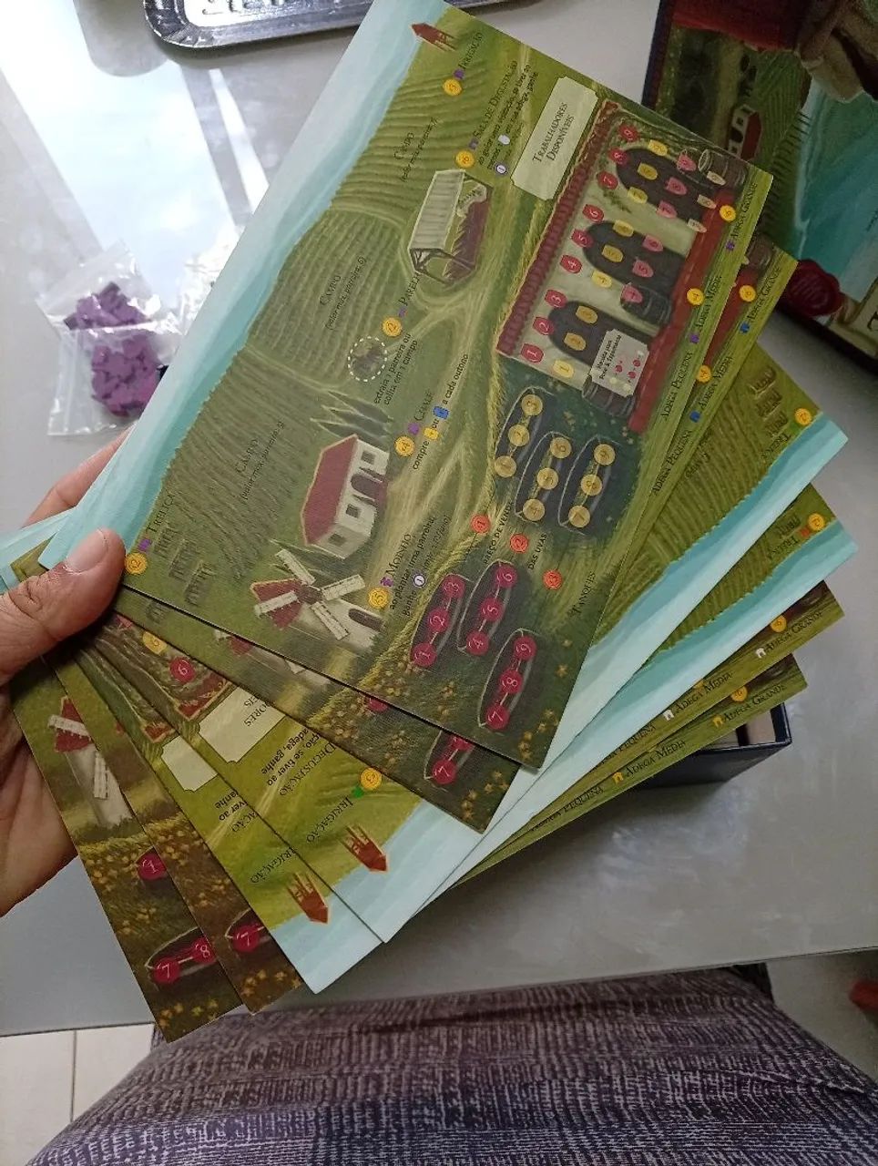 Jogo Viticulture (Grok) - Foto 5