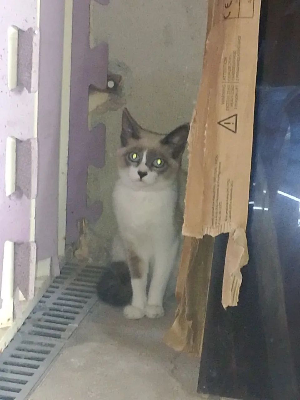 Doação  - Foto 2