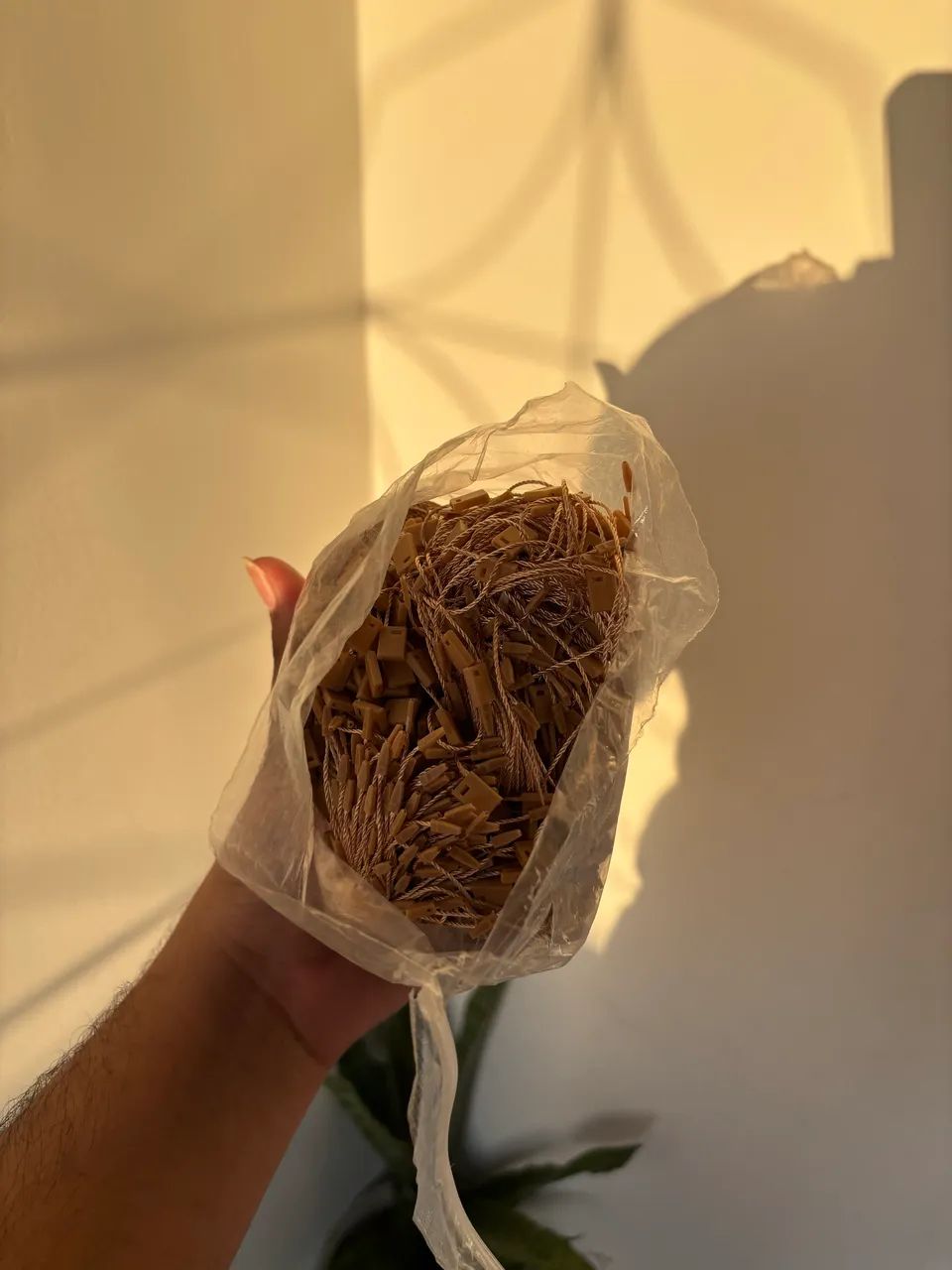 Lacre para tag. - Foto 2