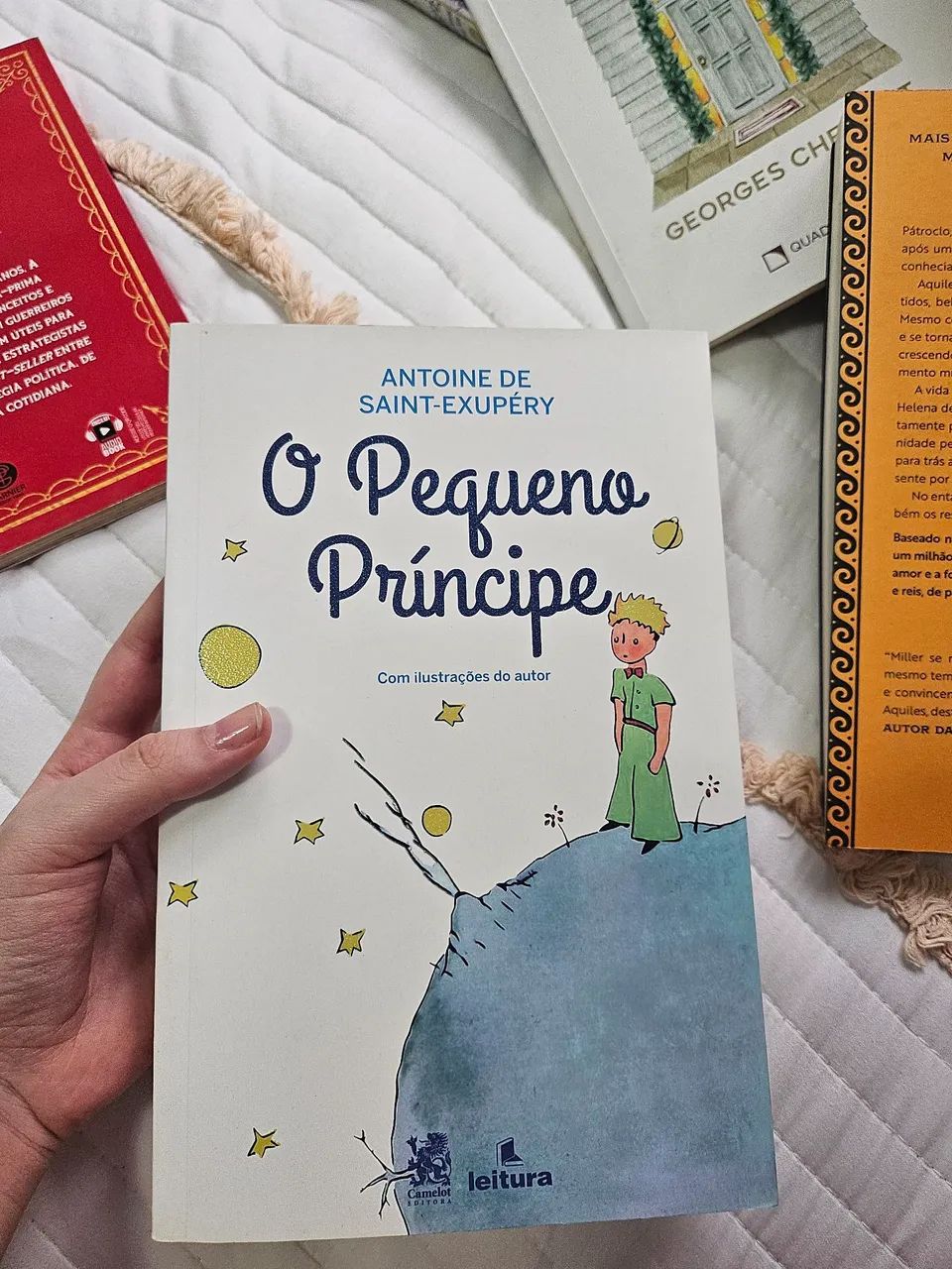 livro o pequeno príncipe